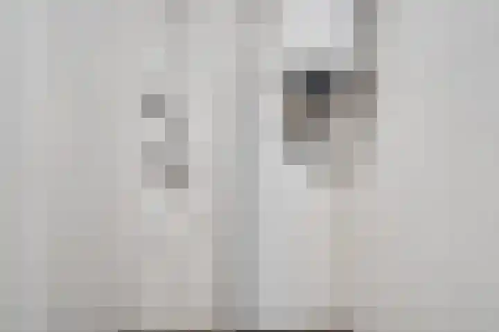 Nijverheidssingel 317 C5 Breda thumbnail 33