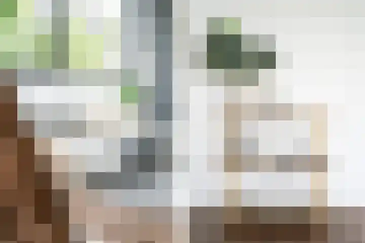 Nijverheidssingel 317 C7 Breda thumbnail 10