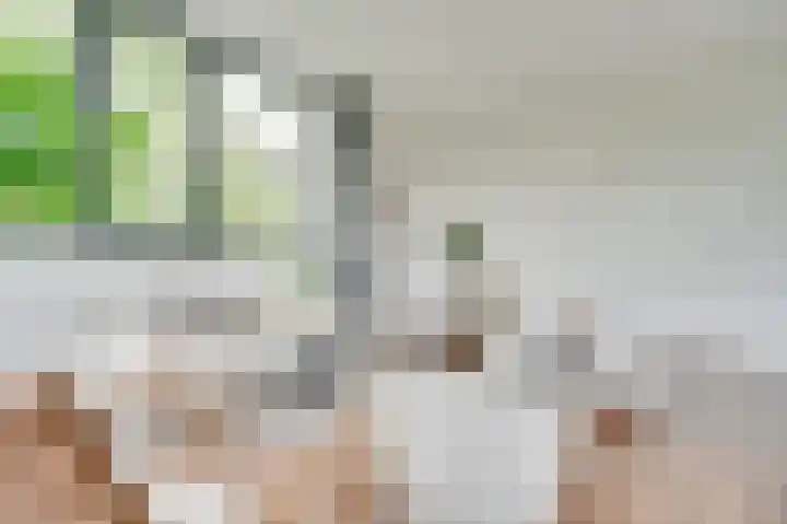 Nijverheidssingel 317 C7 Breda thumbnail 13