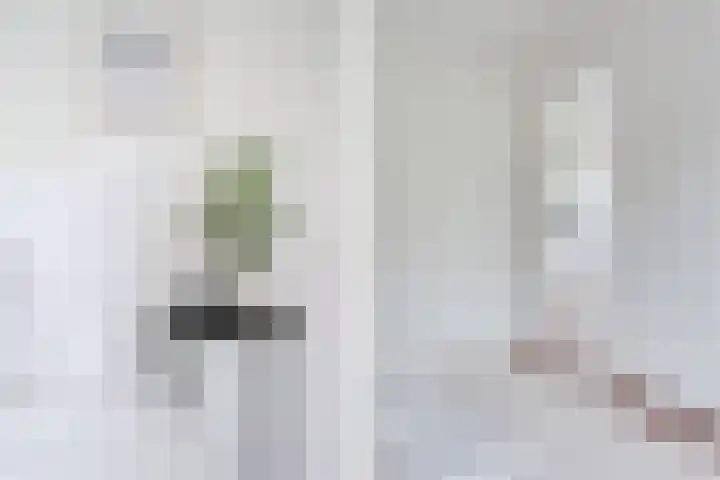 Nijverheidssingel 317 C7 Breda thumbnail 17