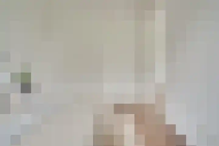 Nijverheidssingel 317 C7 Breda thumbnail 18