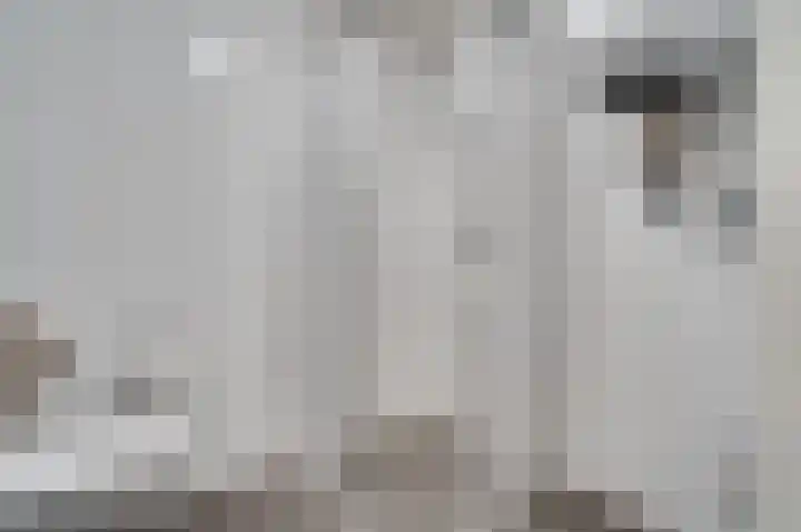 Nijverheidssingel 317 C7 Breda thumbnail 22