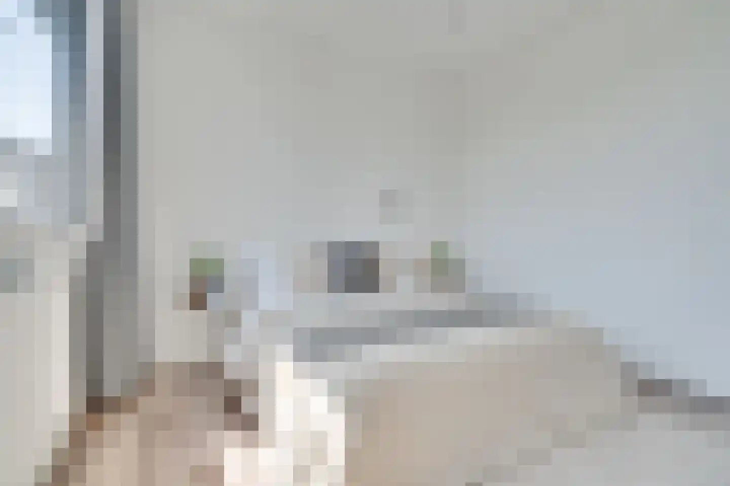 Nijverheidssingel 317 D1 Breda thumbnail 15