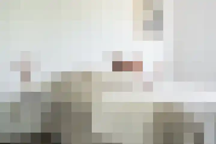 Nijverheidssingel 321 Breda thumbnail 14
