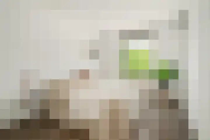 Nijverheidssingel 321 Breda thumbnail 15