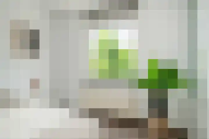Nijverheidssingel 321 Breda thumbnail 16