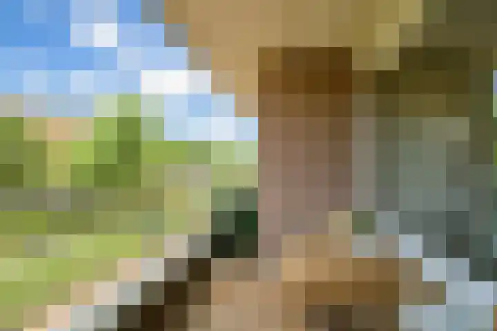 Nijverheidssingel 321 Breda thumbnail 6