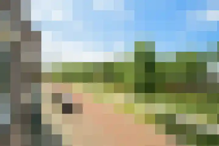 Nijverheidssingel 321 Breda thumbnail 7