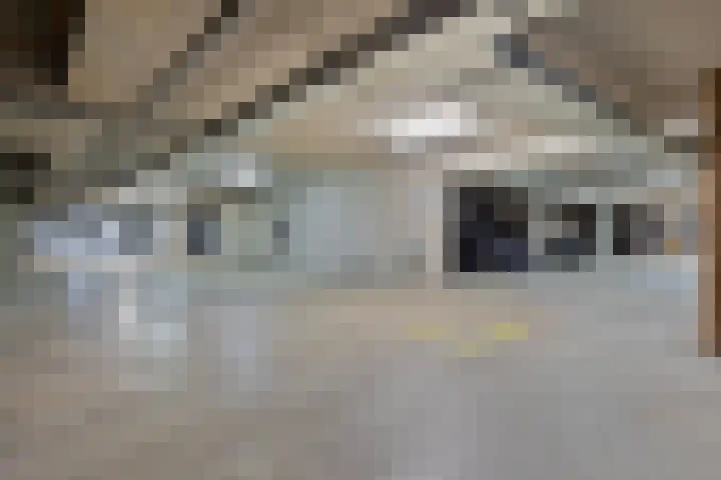 Nijverheidssingel 93 Breda thumbnail 4