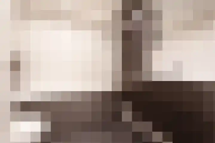 Nijverheidssingel 99 Breda thumbnail 10
