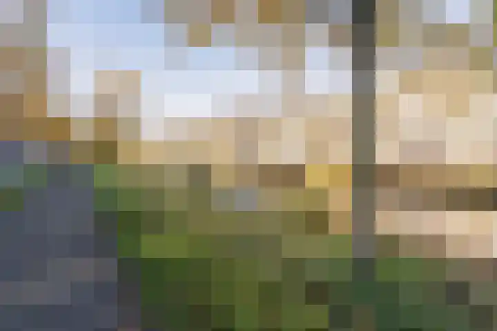 Nijverheidssingel 99 Breda thumbnail 16