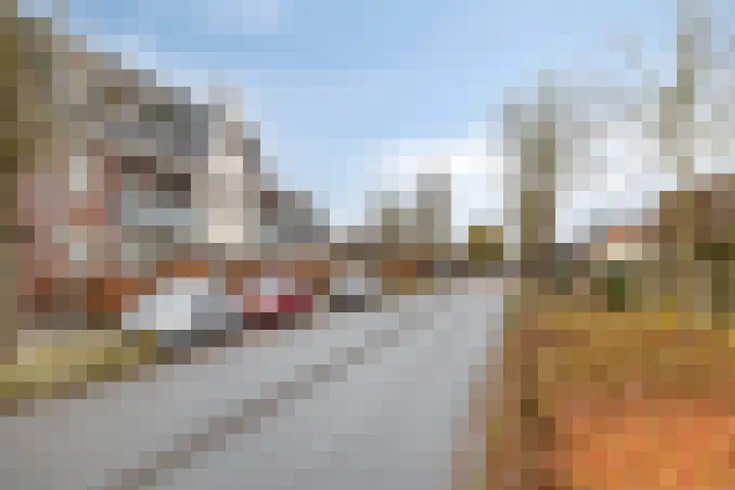 Nijverheidsstraat 1 04 Beneden-Leeuwen thumbnail 30