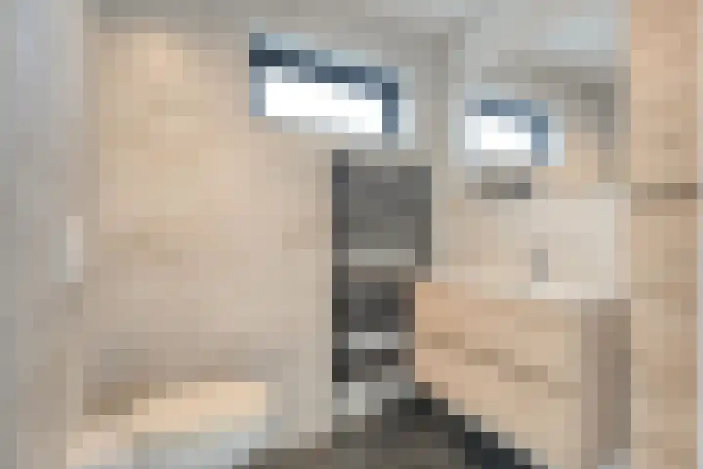 Nijverheidsstraat 1 A Rijssen thumbnail 31