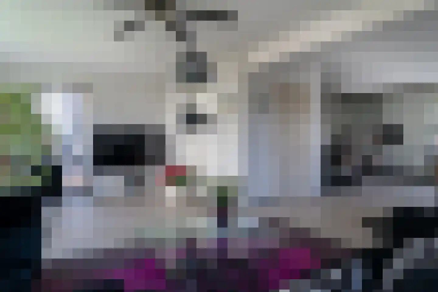 Nijverheidsstraat 15 Giesbeek thumbnail 16