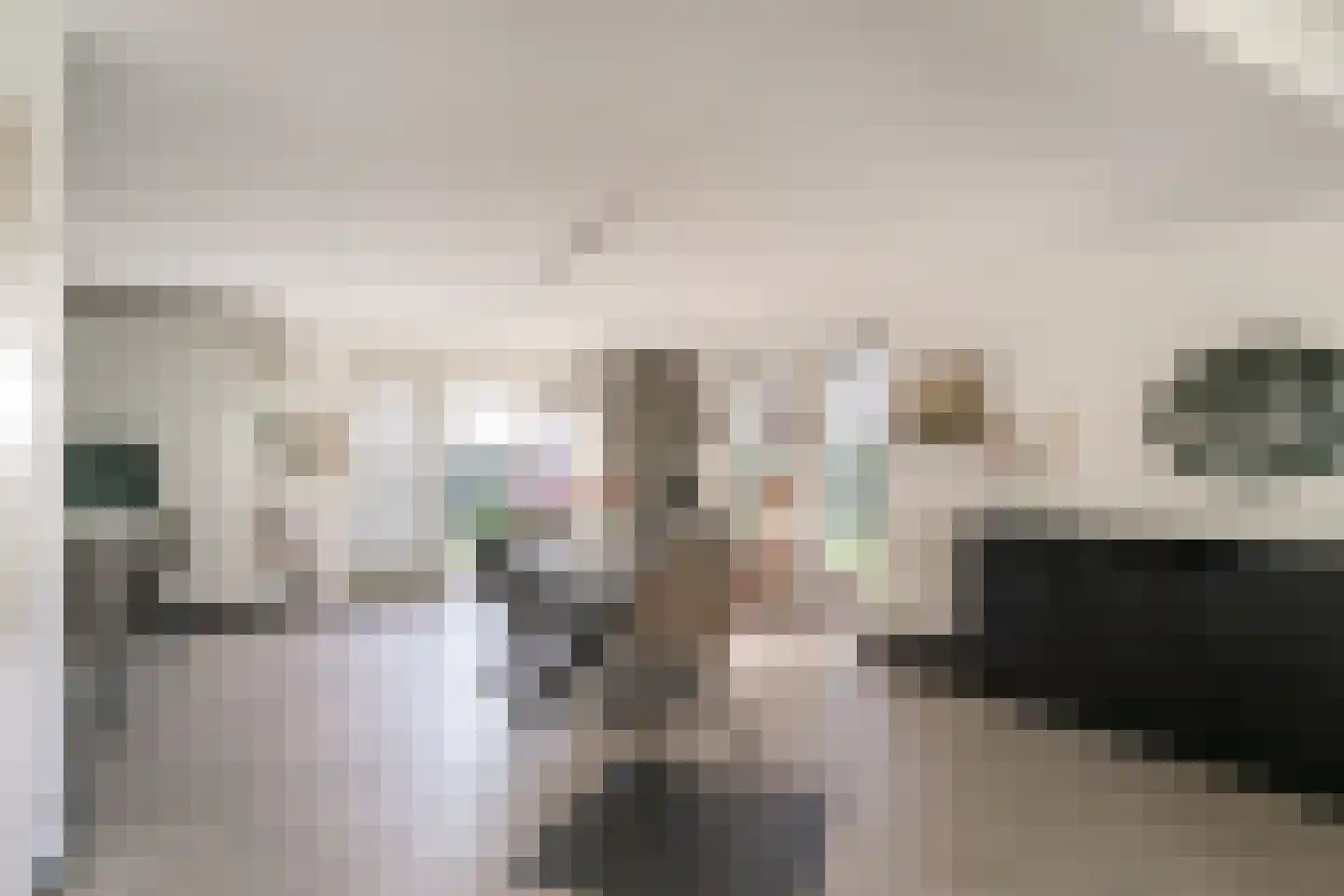 Nijverheidsstraat 15 Giesbeek thumbnail 18