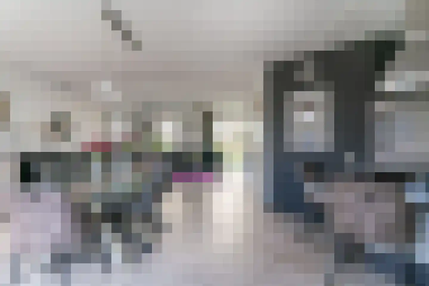 Nijverheidsstraat 15 Giesbeek thumbnail 22