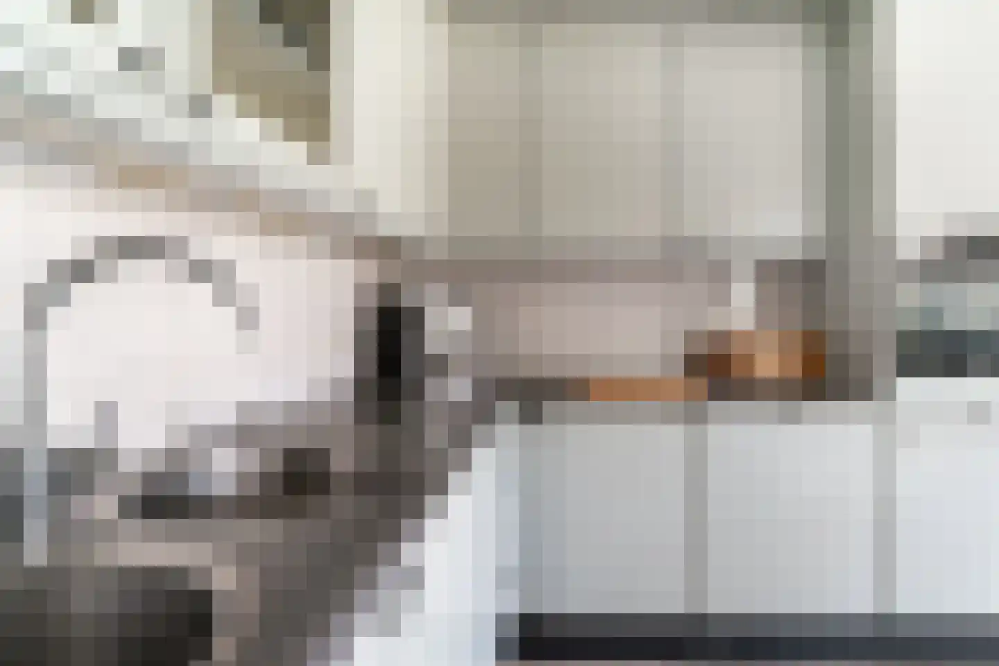Nijverheidsstraat 15 Giesbeek thumbnail 23