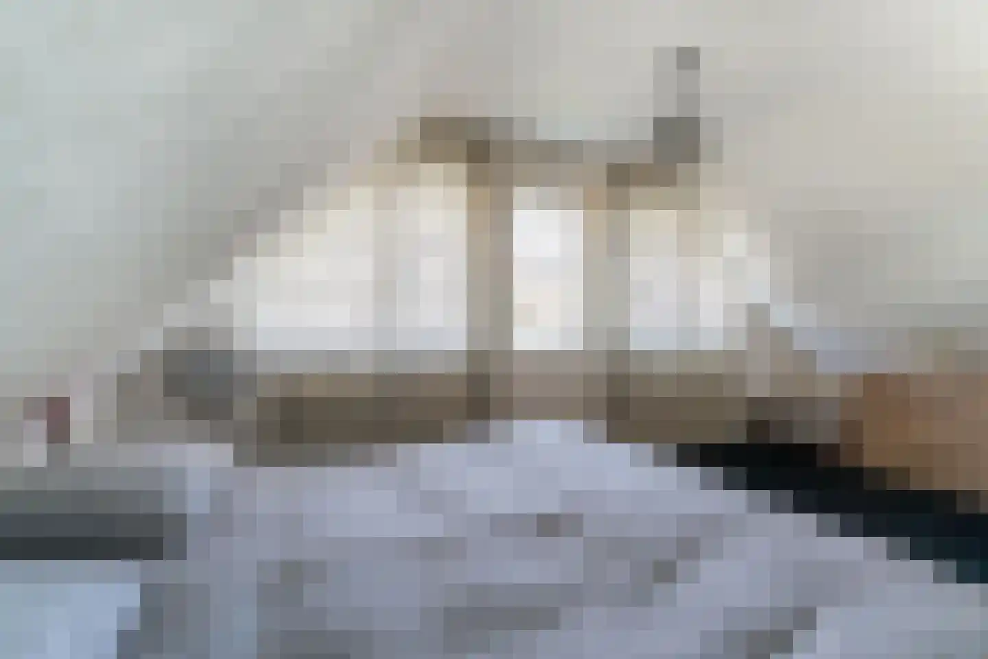 Nijverheidsstraat 15 Giesbeek thumbnail 31