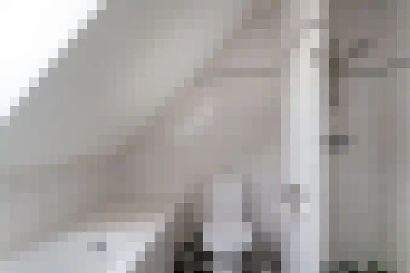 Nijverheidsstraat 15 Giesbeek thumbnail 33