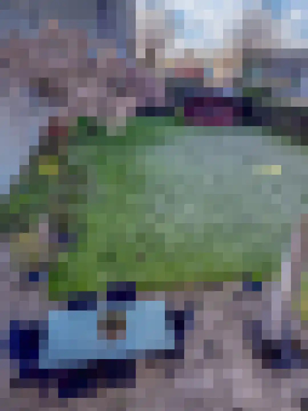 Nijverheidsstraat 15 Giesbeek thumbnail 48
