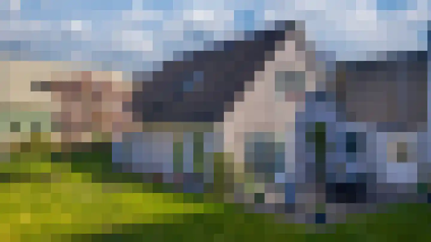 Nijverheidsstraat 15 Giesbeek thumbnail 50