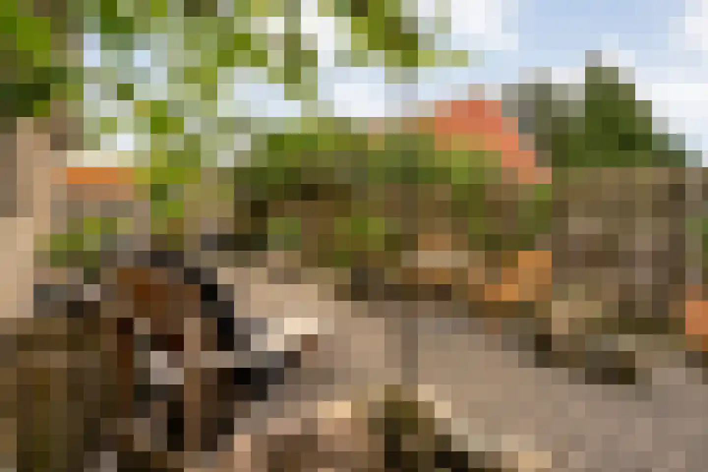 Nijverheidsstraat 26 Geesbrug thumbnail 37