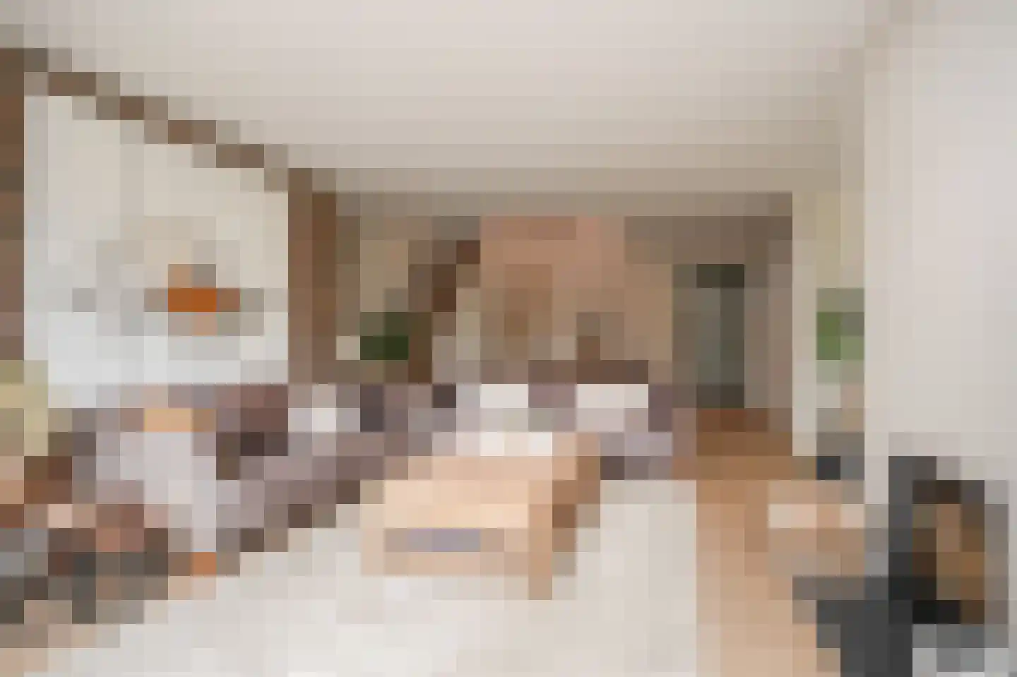 Nijverheidsstraat 29 Beneden-Leeuwen thumbnail 5