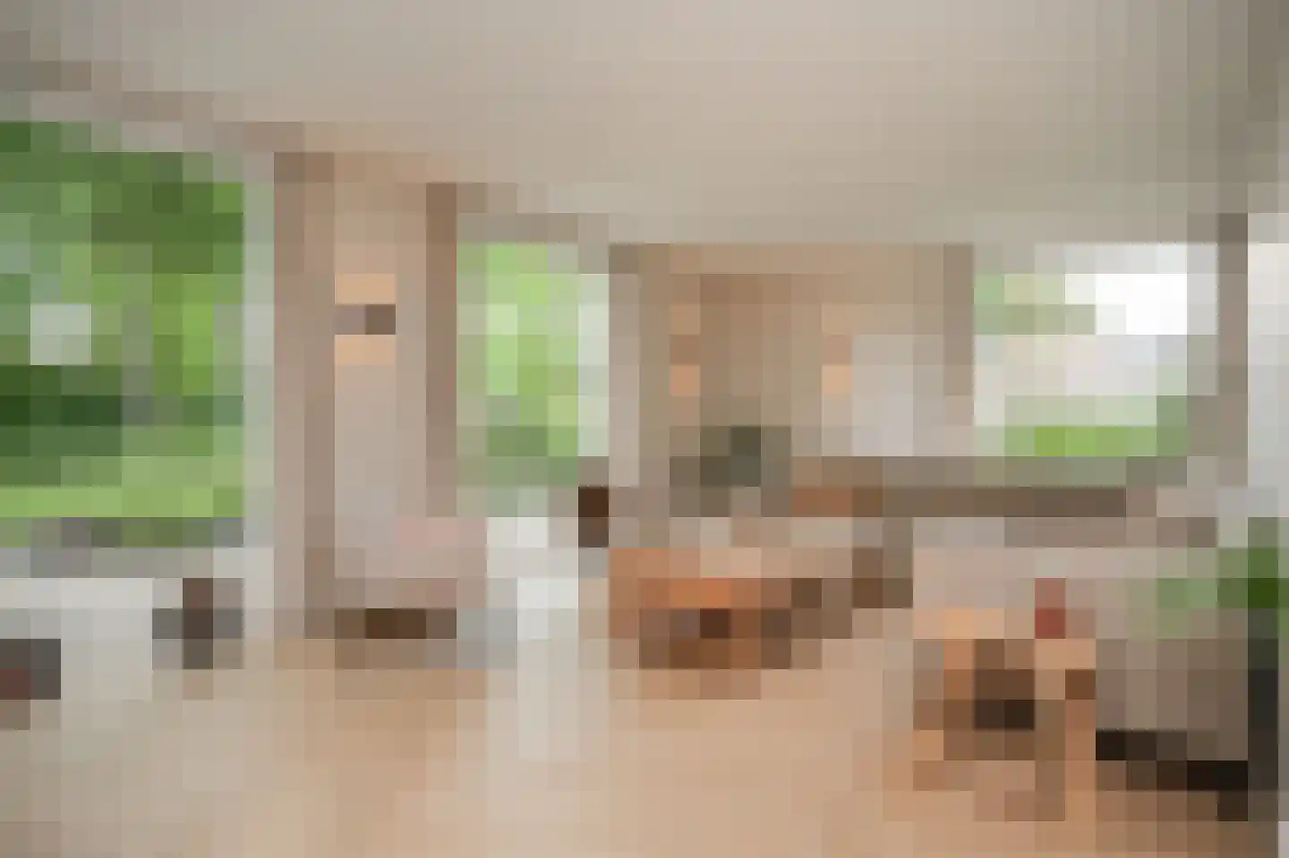 Nijverheidsstraat 29 Beneden-Leeuwen thumbnail 8