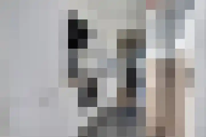 Nijverheidsstraat 3 Gouda thumbnail 11