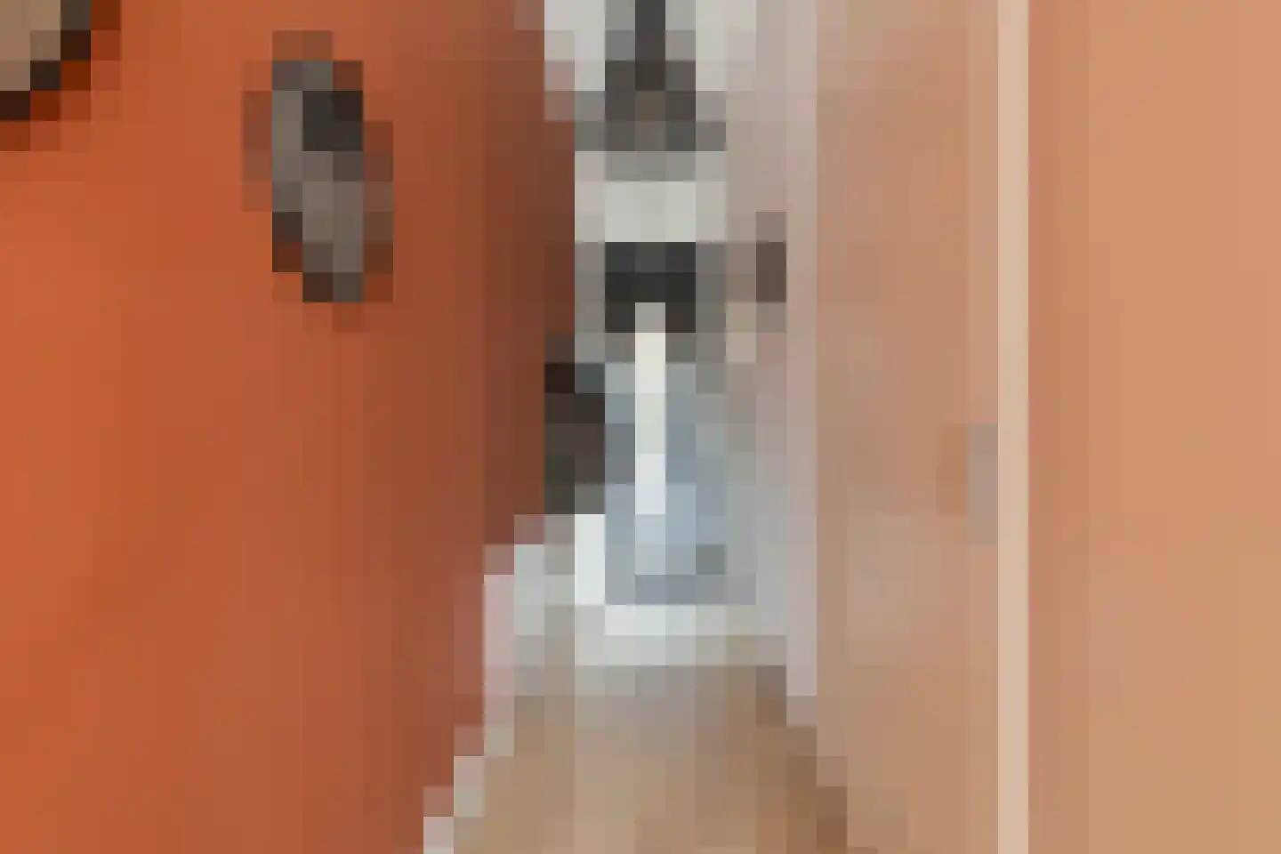 Nijverheidsstraat 3 Schagen thumbnail 5