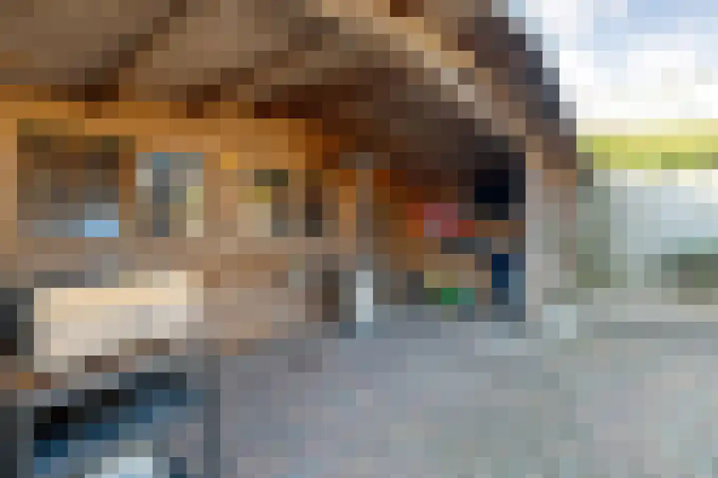 Nijverheidsstraat 31 Kampen thumbnail 48