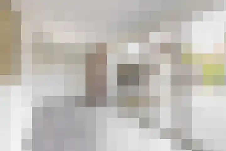 Nijverheidsstraat 41 Schagen thumbnail 11