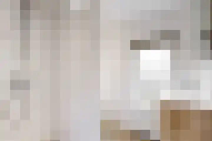 Nijverheidsstraat 41 Schagen thumbnail 18