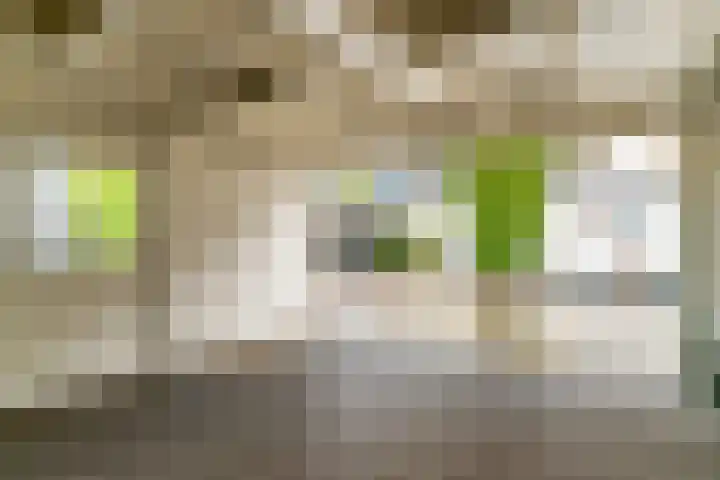 Nijverheidsstraat 41 Schagen thumbnail 32