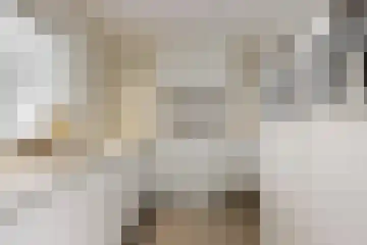Nijverheidsstraat 41 Schagen thumbnail 8