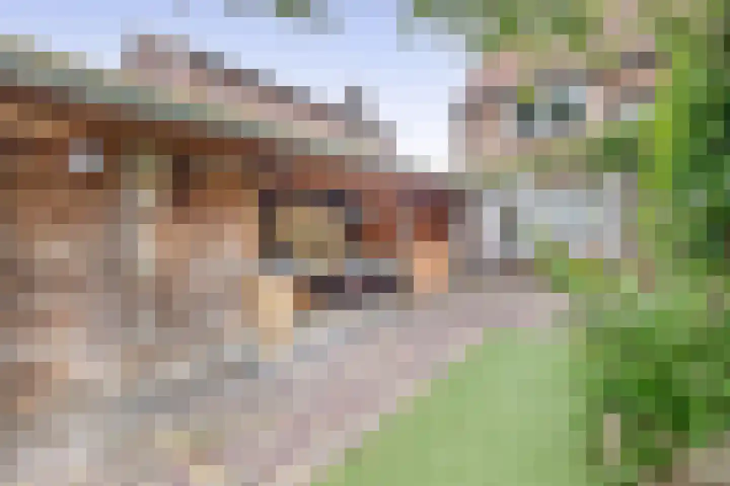 Nijverheidsstraat 5 Heerjansdam thumbnail 22
