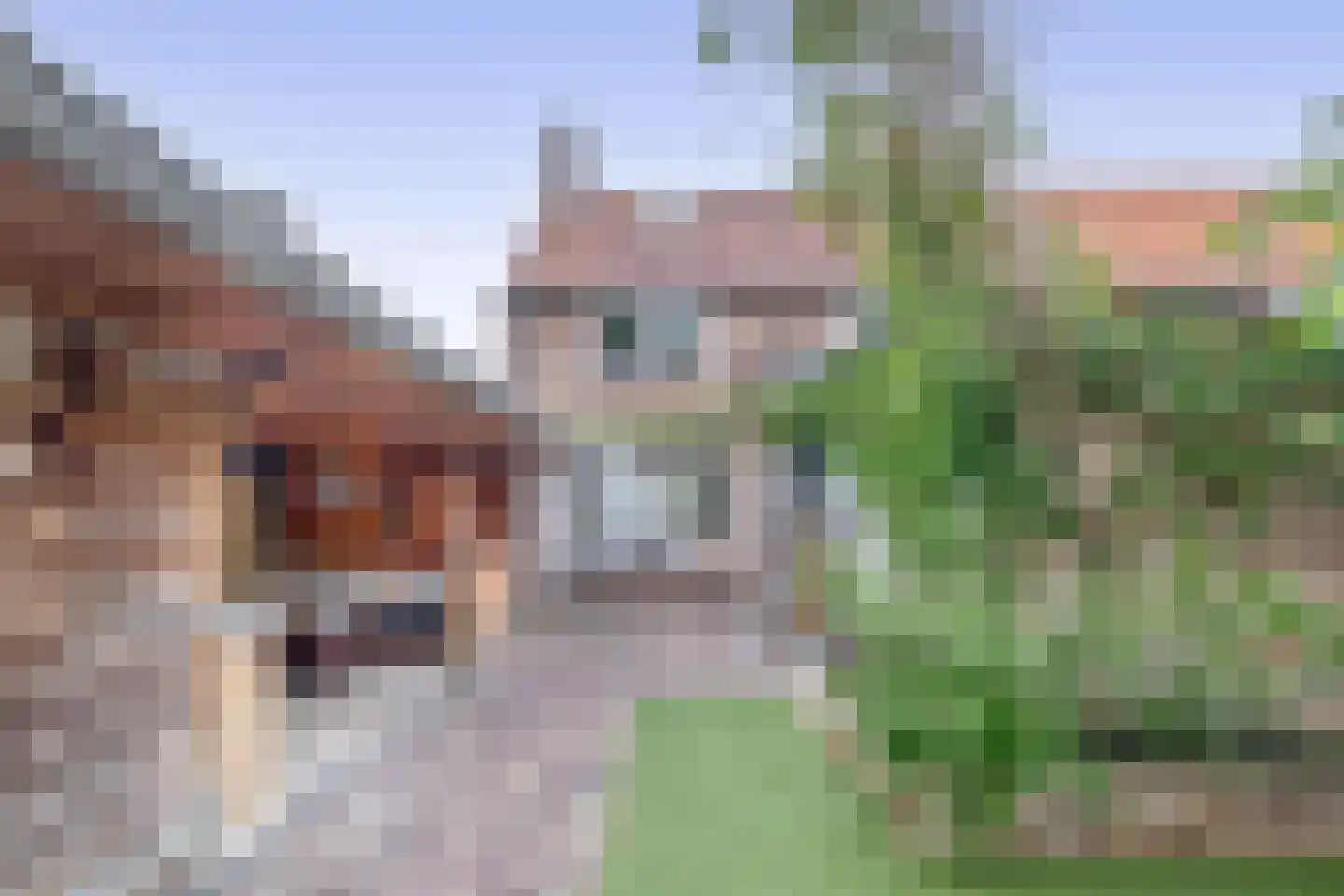 Nijverheidsstraat 5 Heerjansdam thumbnail 24