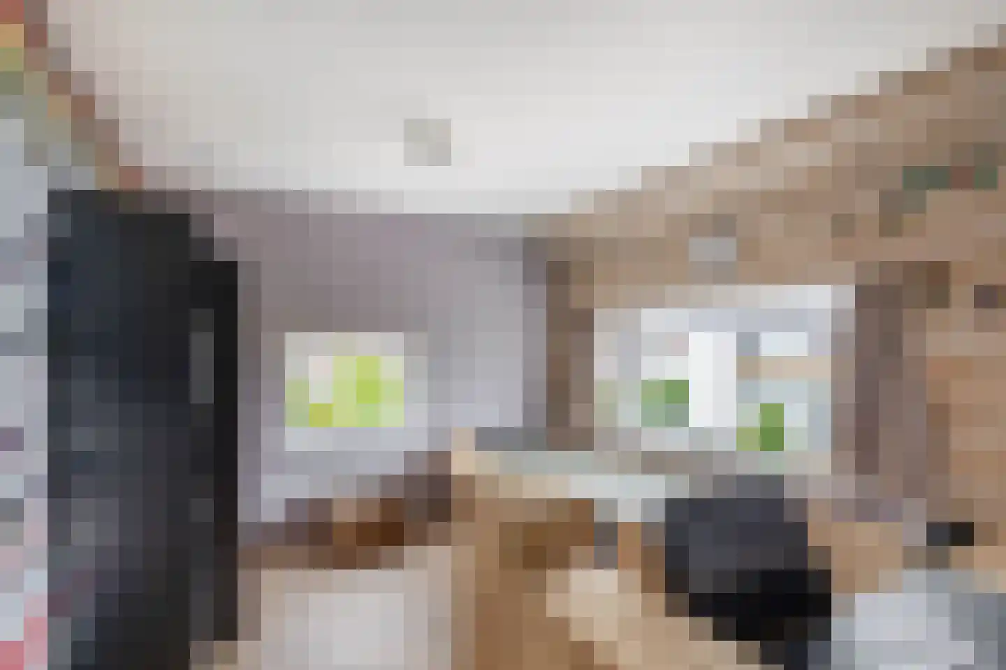 Nijverheidsstraat 5 Heerjansdam thumbnail 27