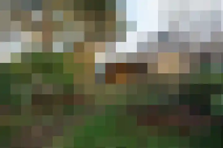 Nijverheidsstraat 53 Wildervank thumbnail 36