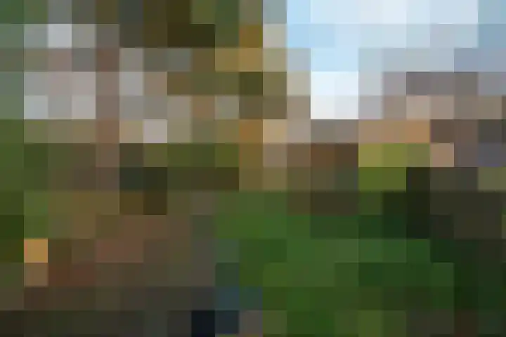 Nijverheidsstraat 53 Wildervank thumbnail 38