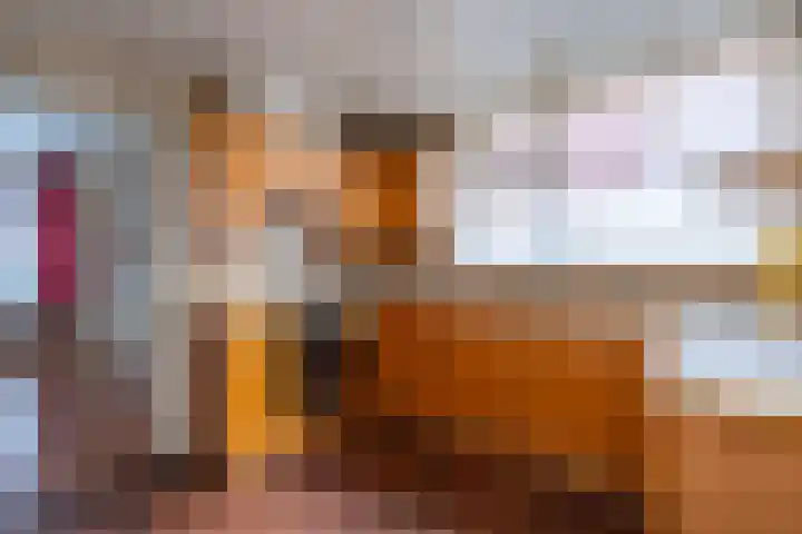 Nijverheidsstraat 53 Wildervank thumbnail 9