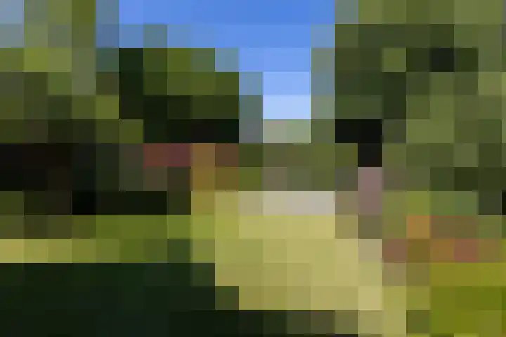 Nijverheidsstraat 56 Wildervank thumbnail 47