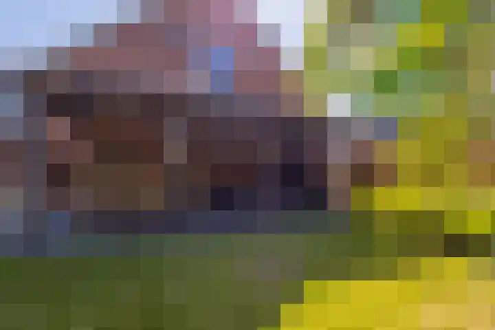 Nijverheidsstraat 56 Wildervank thumbnail 50