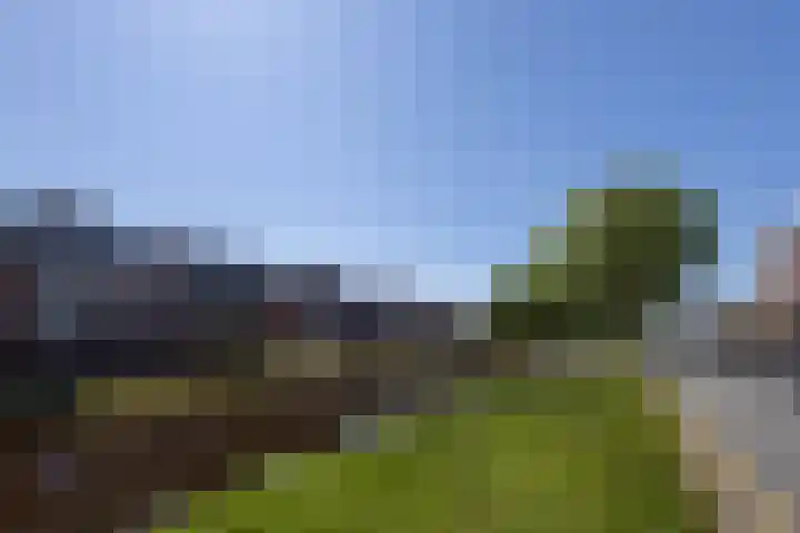 Nijverheidsstraat 56 Wildervank thumbnail 55