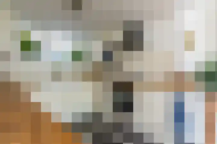 Nijverheidsstraat 57 Oudkarspel thumbnail 12