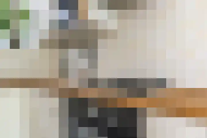 Nijverheidsstraat 57 Oudkarspel thumbnail 13