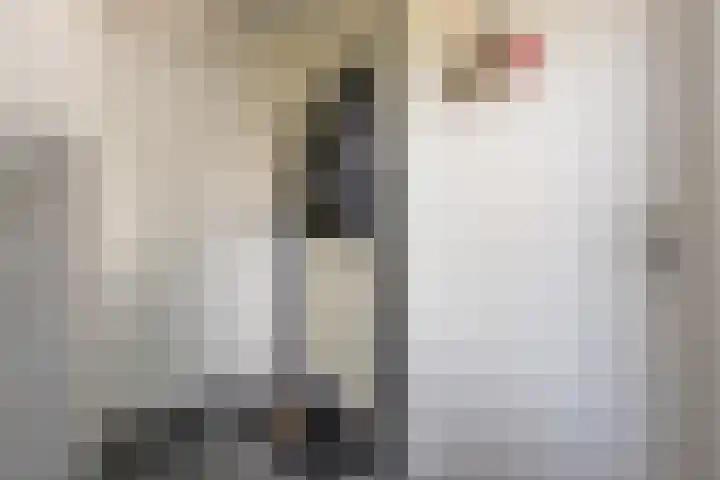 Nijverheidsstraat 57 Oudkarspel thumbnail 17