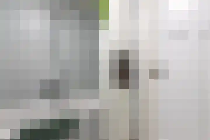 Nijverheidsstraat 57 Oudkarspel thumbnail 20