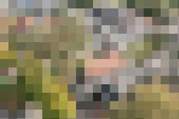 Nijverheidsstraat 57 Oudkarspel thumbnail 40