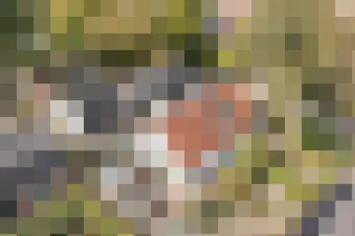 Nijverheidsstraat 57 Oudkarspel thumbnail 43